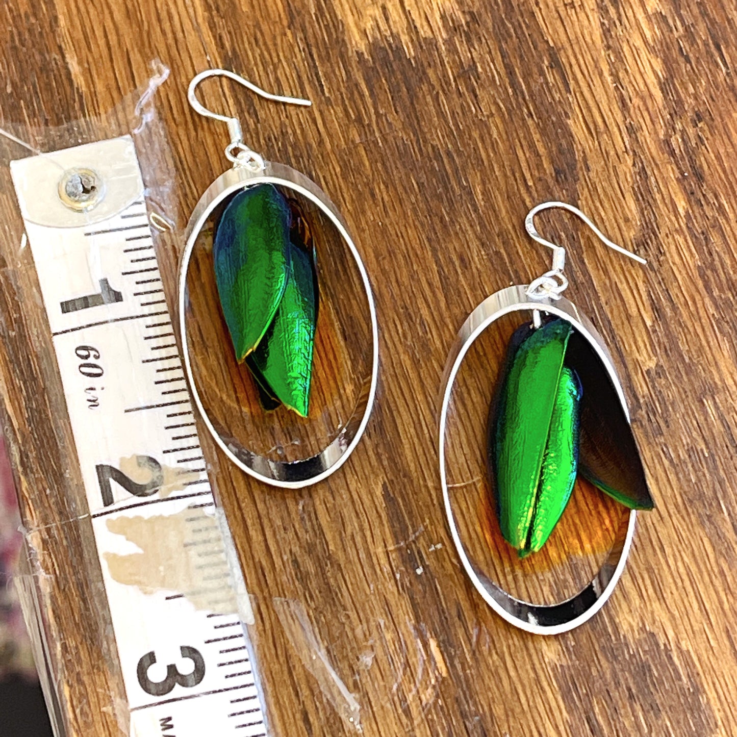 Jewel Wing Silver Earrings
